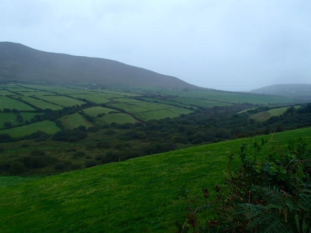 dingle