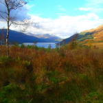 Fall colors in Scotland, Loch Lomond