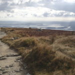 Hiking Ben Lomond