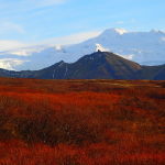 View of Vatnajokull national park