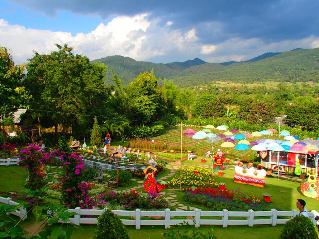 Strawberry Farm, Pai