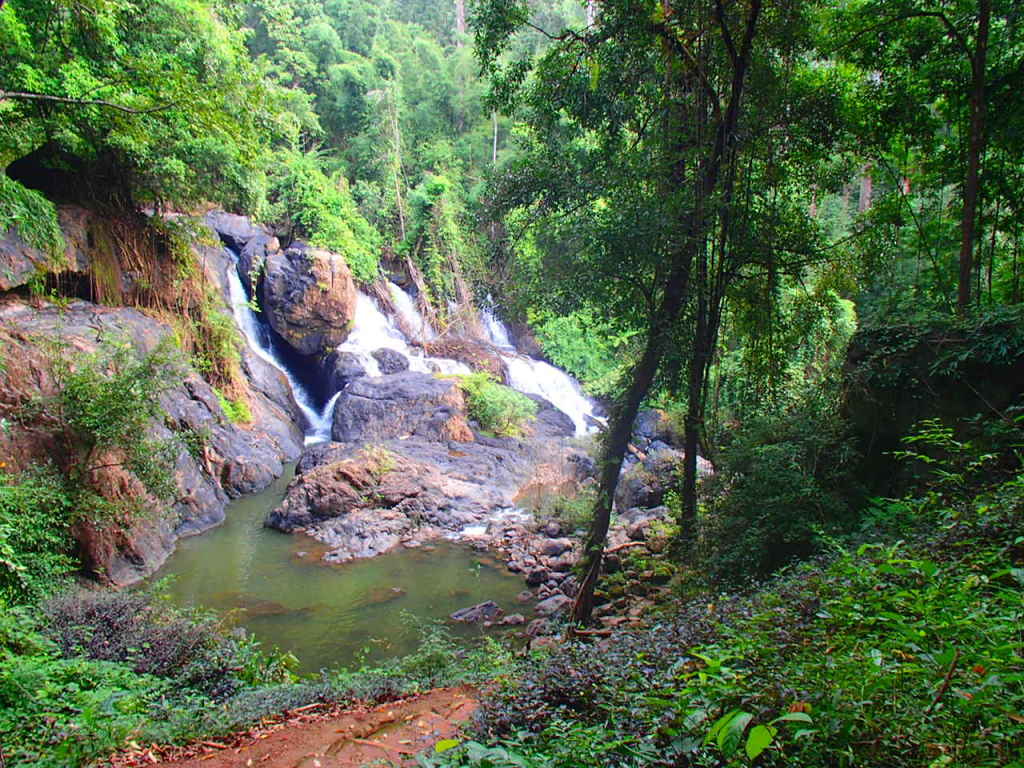 Waterfall Along the Way