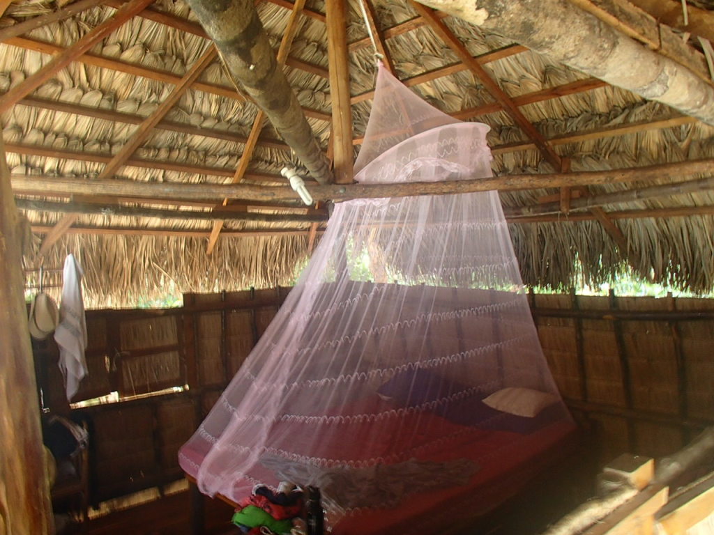 Treehouse sleeping