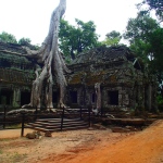 Ta Prohm Temple (Tomb Raider)