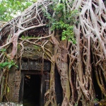 Ta Prohm Temple (Tomb Raider)