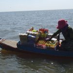Tonle Sap lake(Kompoung Pluk) floating village