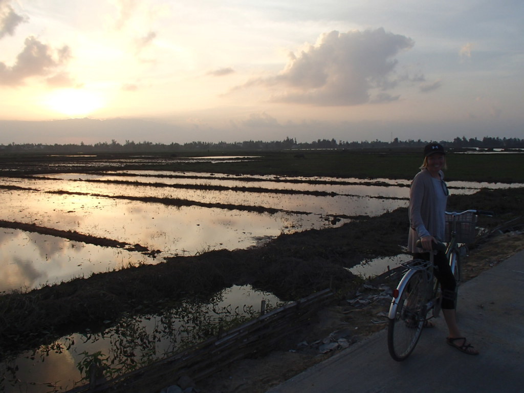 Hoi AN ricefields