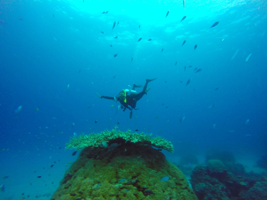 Diving in Bali