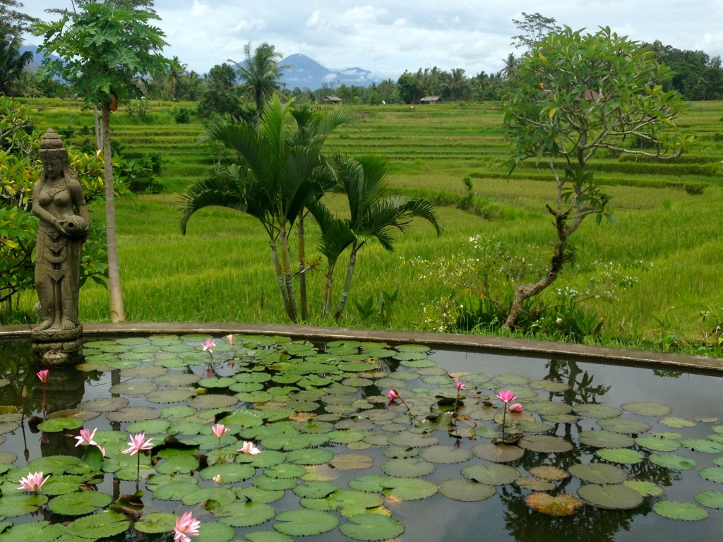 Bali Campuhan RIdge Trail