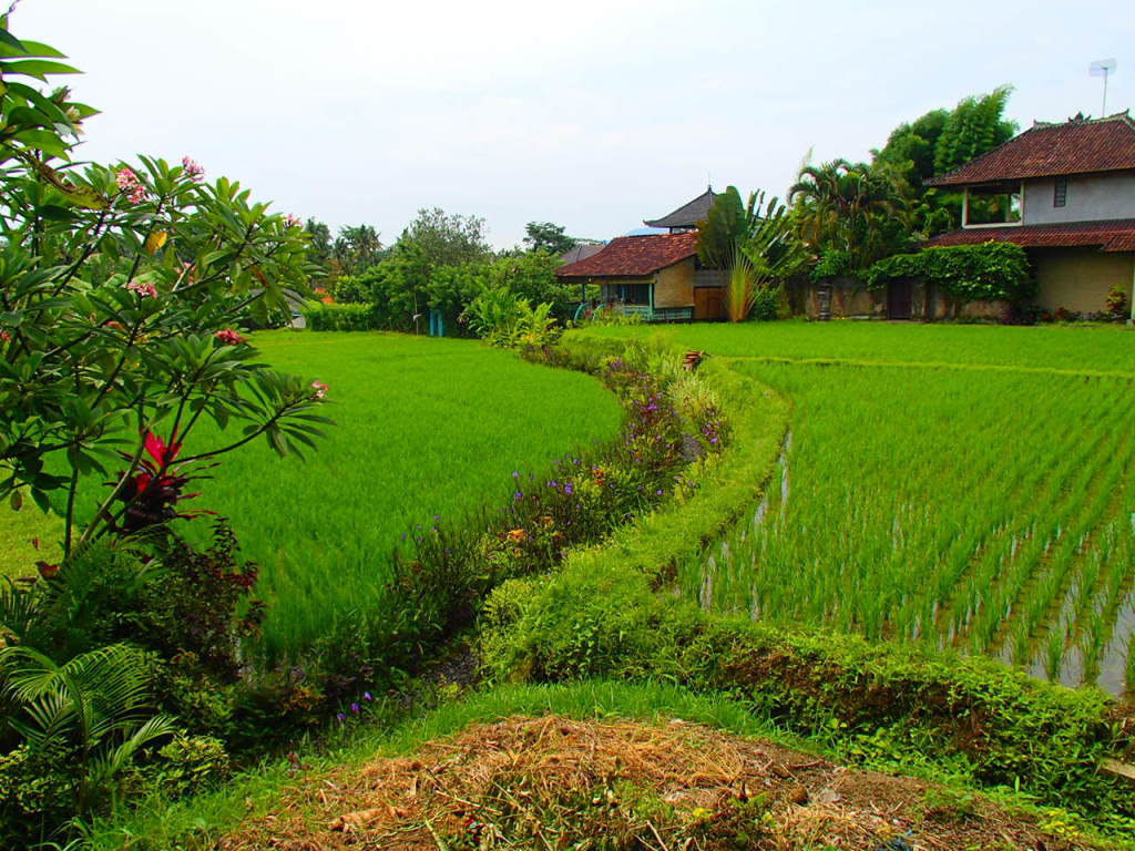 Ubud