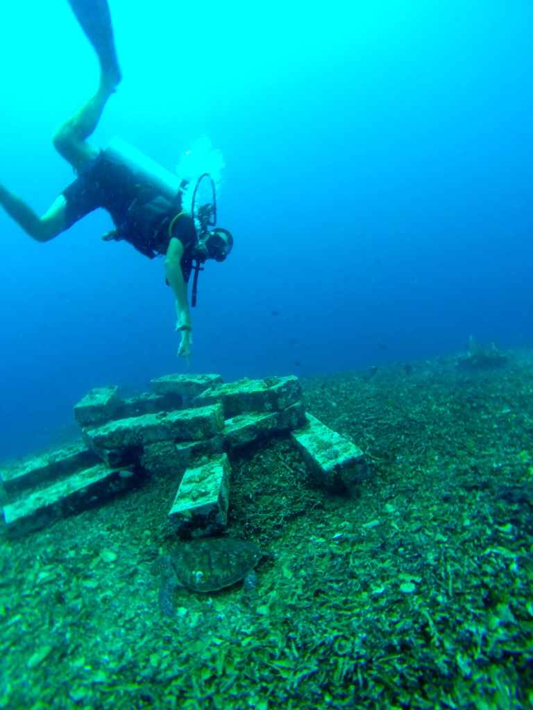 Turtle Heaven, Gili T