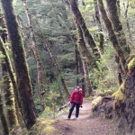 Day 3: Kepler Track