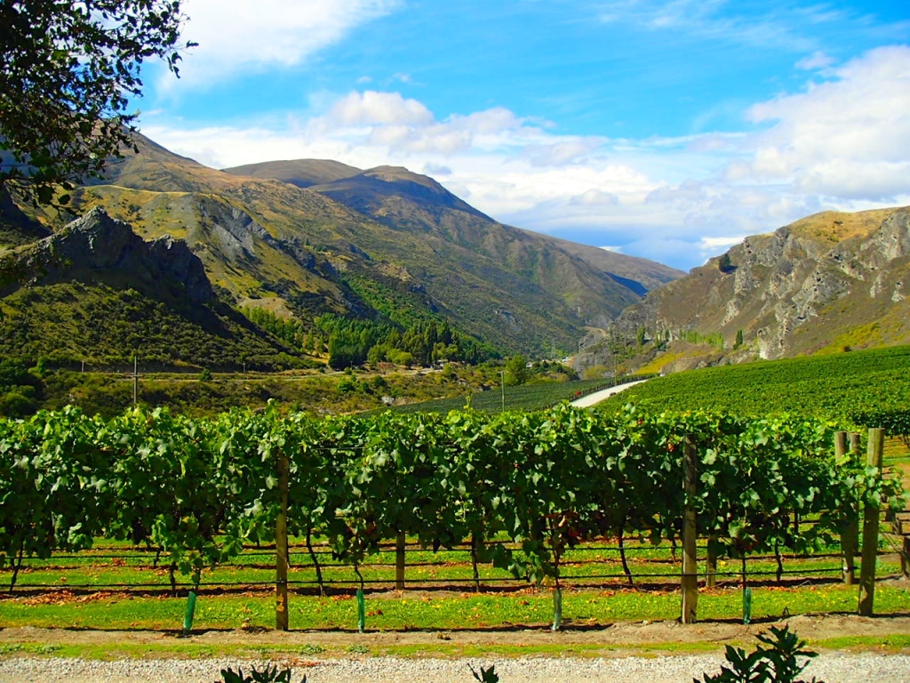 Chard Farm Winery