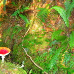 Day 4, Kepler Track