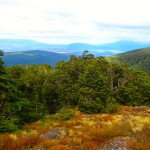 Day 1, Kepler Track