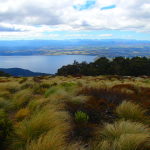 Day 1, Kepler Track