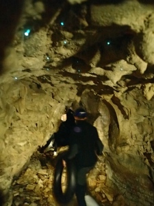 glowworm caves, nz