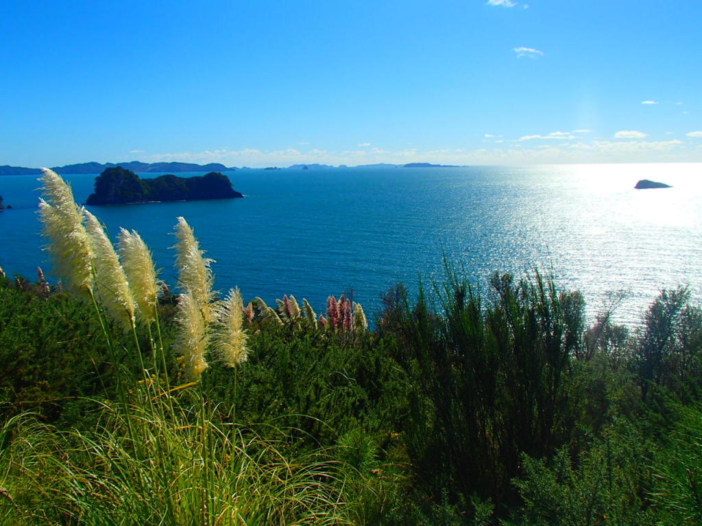 Coromandel Peninsula, NZ