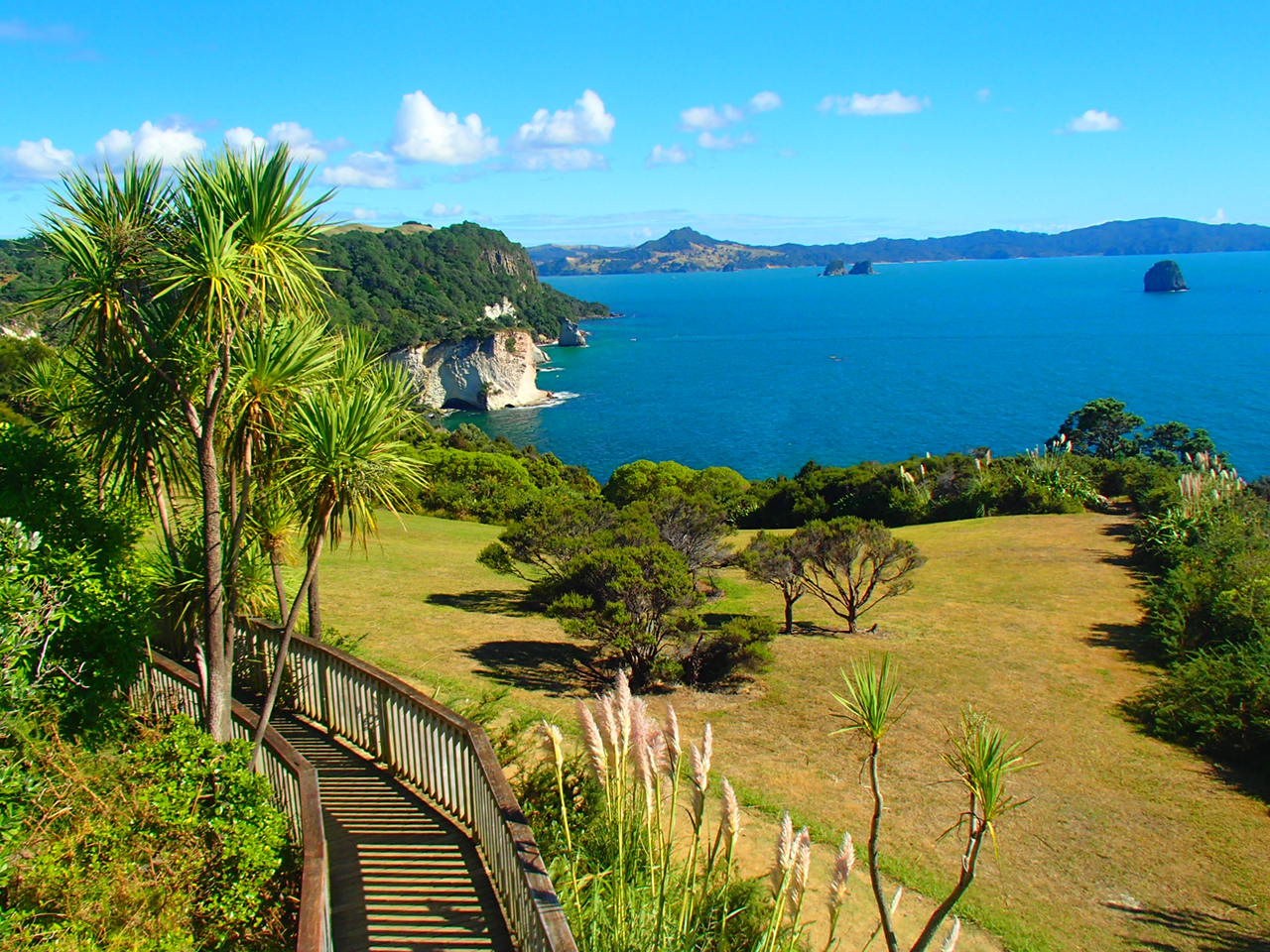 Coromandel 