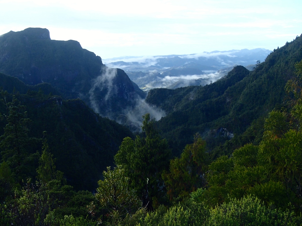 The Pinnacles hike was nature in its purest form. It was challenging, peaceful and breathtakingly. Definitely of my favorites on the trip, despite the sleeping bag incident (or lack thereof). If given the chance, I’d do it all over again.