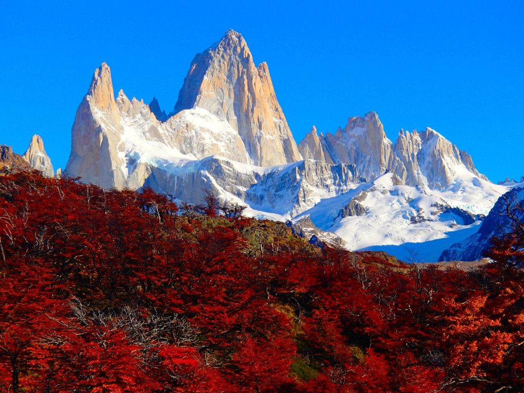 Fall colors at Fitz Roy