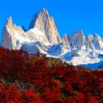 Fall colors at Fitz Roy