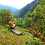 Day 2: Indigenous Graves