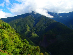 Day 3: Yungas