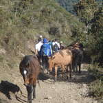 Day 2: Salkantay trek