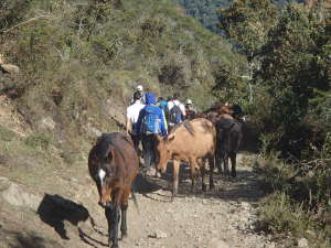 Day 2: Salkantay trek