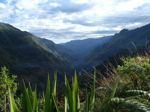 Day 3: Salkantay trek