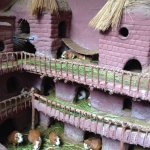 Guinea Pig Castle (before they were eaten)