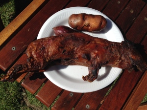 Guinea Pig Picnic