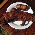 Guinea Pig Picnic